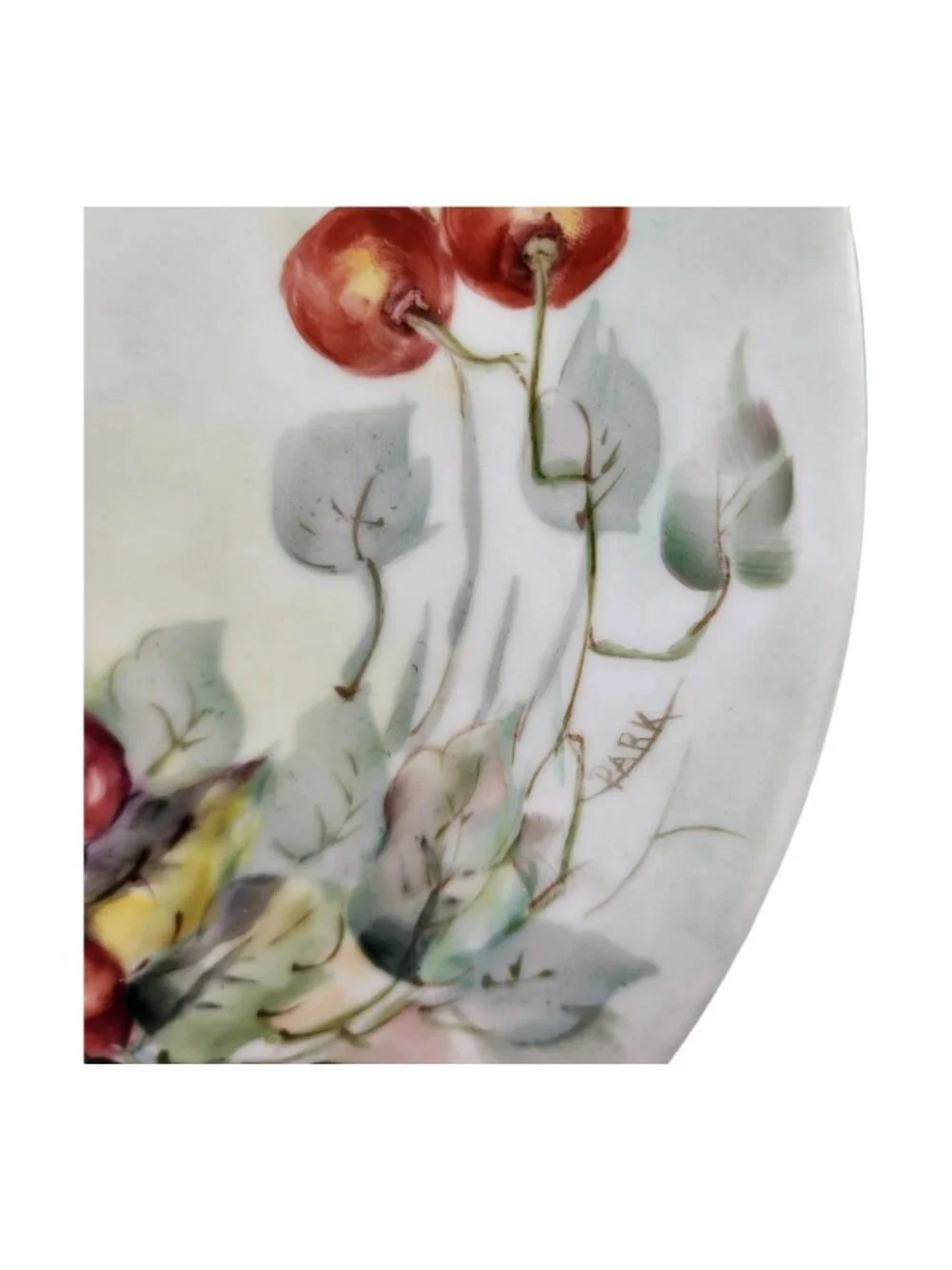 Vtg Arzberg Western Germany Hand Painted Cabinet Plate Cherries 10